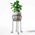 Base alta para macetas cuatros patas diseño con forja