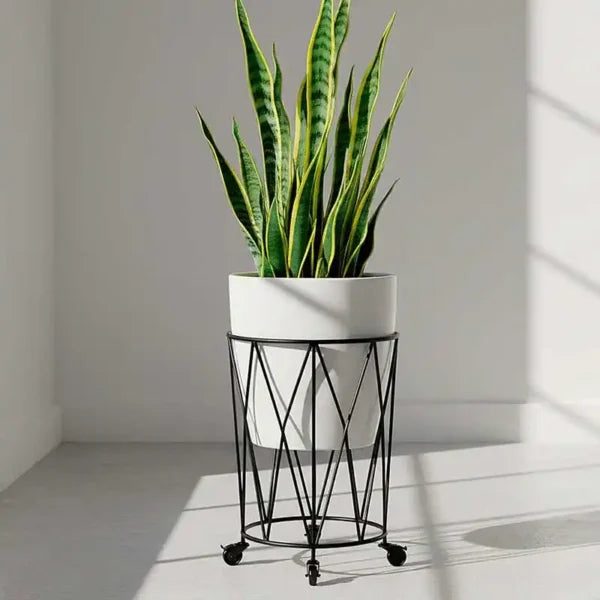 Base con ruedas para macetas moderna