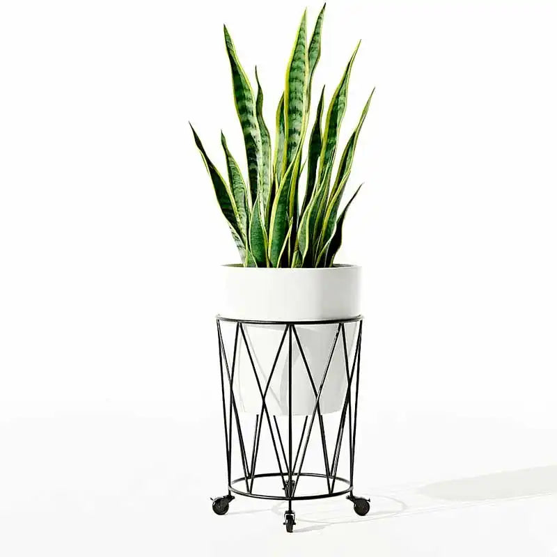 Base con ruedas para macetas moderna