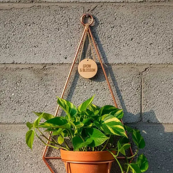 Soporte para macetas colgantes de herrería para pared (diseño diamante)