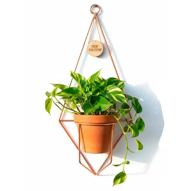 Soporte para macetas colgantes de herrería para pared (diseño diamante)