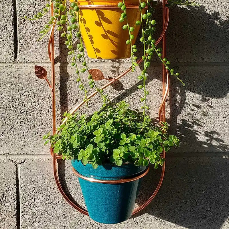 Soporte para plantas colgantes para pared (diseño vertical)