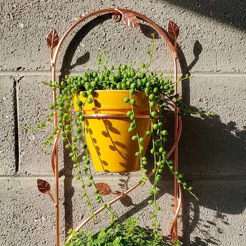 Soporte para plantas colgantes para pared (diseño vertical)
